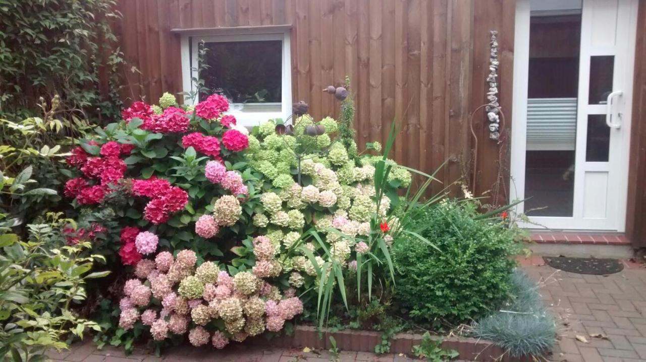 1 Raum Appartement mit Küchenzeile in Kappeln Exterior foto